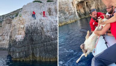 VIDEO Neobična intervencija na Visu: HGSS je spasio kozu koja je zapela na litici iznad mora