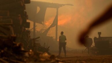 Požari u Portugalu: Srušio se kanader, pilot je poginuo
