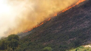 Tragedija kraj Dubrovnika: U gašenju požara poginuo je jedan dubrovački vatrogasac