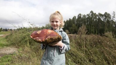 Tara (5) prava je specijalistica za vrganje, a ubrala je i rekord: Gljivu tešku skoro 2 kilograma