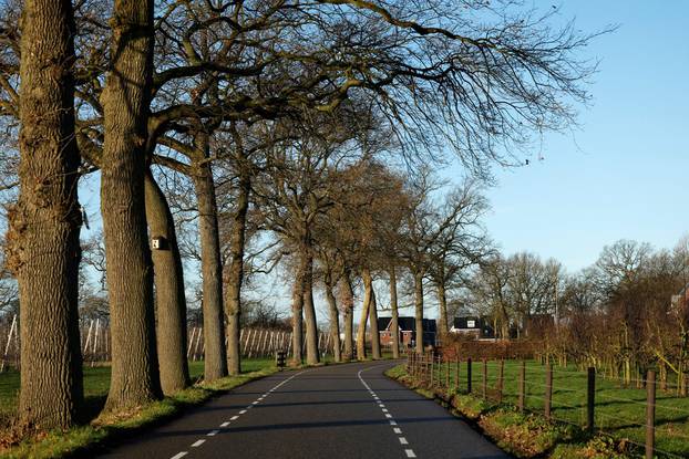 A general view of a street in the Dutch village of Ommeren
