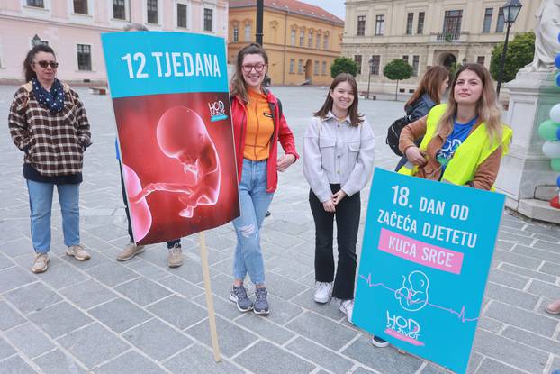 U Osijeku održan četvrti po redu Hod za život