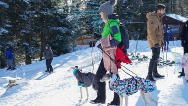 FOTO Skijaši ponovno osvajaju Sljeme: Neki su poveli i pse, a gužva je bila i u redu za žičaru
