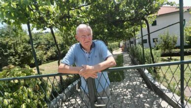 Sinj: Dao svoju livadu za parking na koncertu
