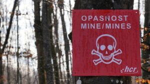 Užas u Doboju! Tinejdžer poginuo dok je čuvao koze: Ušao u minsko polje da ih vrati