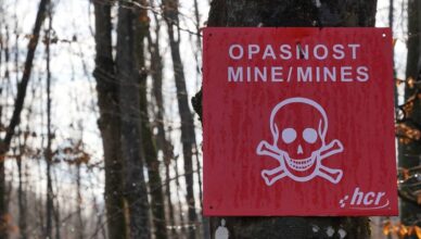 Užas u Doboju! Tinejdžer poginuo dok je čuvao koze: Ušao u minsko polje da ih vrati