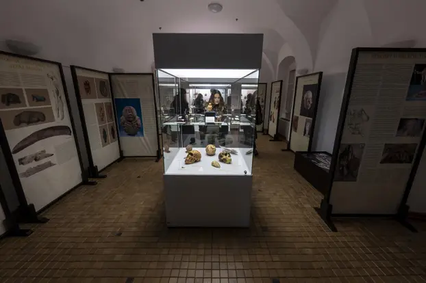 Osijek: U Tvrđi u muzeju Slavonije i Arheološkom muzeju obilježena Noć muzeja