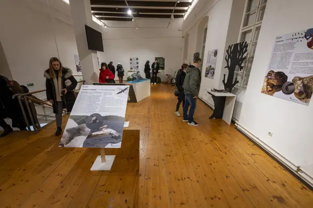 Osijek: U Tvrđi u muzeju Slavonije i Arheološkom muzeju obilježena Noć muzeja