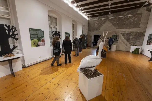 Osijek: U Tvrđi u muzeju Slavonije i Arheološkom muzeju obilježena Noć muzeja