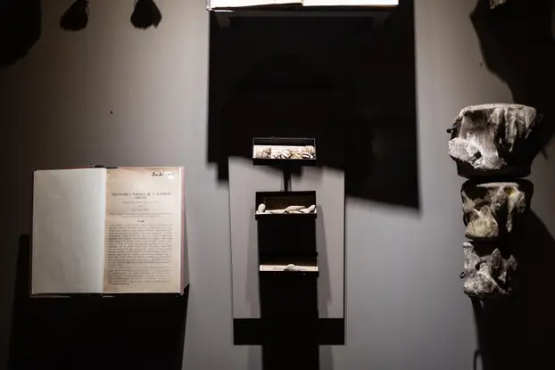 Zagreb: Noć muzeja u Prirodoslovnom muzeju 