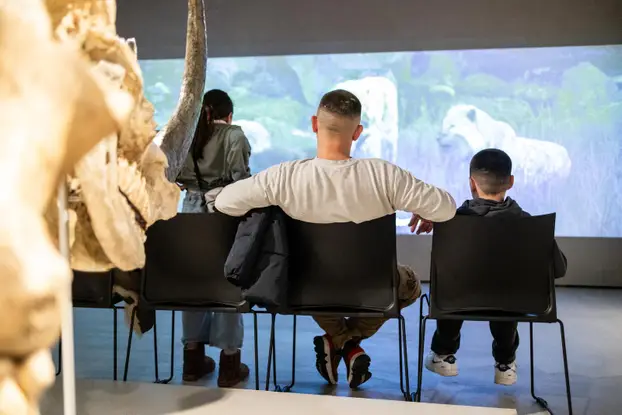 Zagreb: Noć muzeja u Prirodoslovnom muzeju 