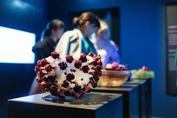 Zagreb: Noć muzeja u Prirodoslovnom muzeju 